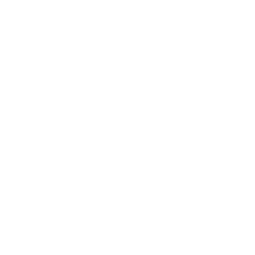 Digital Payment Service